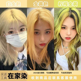 白金色染发膏2023流行色爆款 金黄色染发剂学生自己在家染潮流显白
