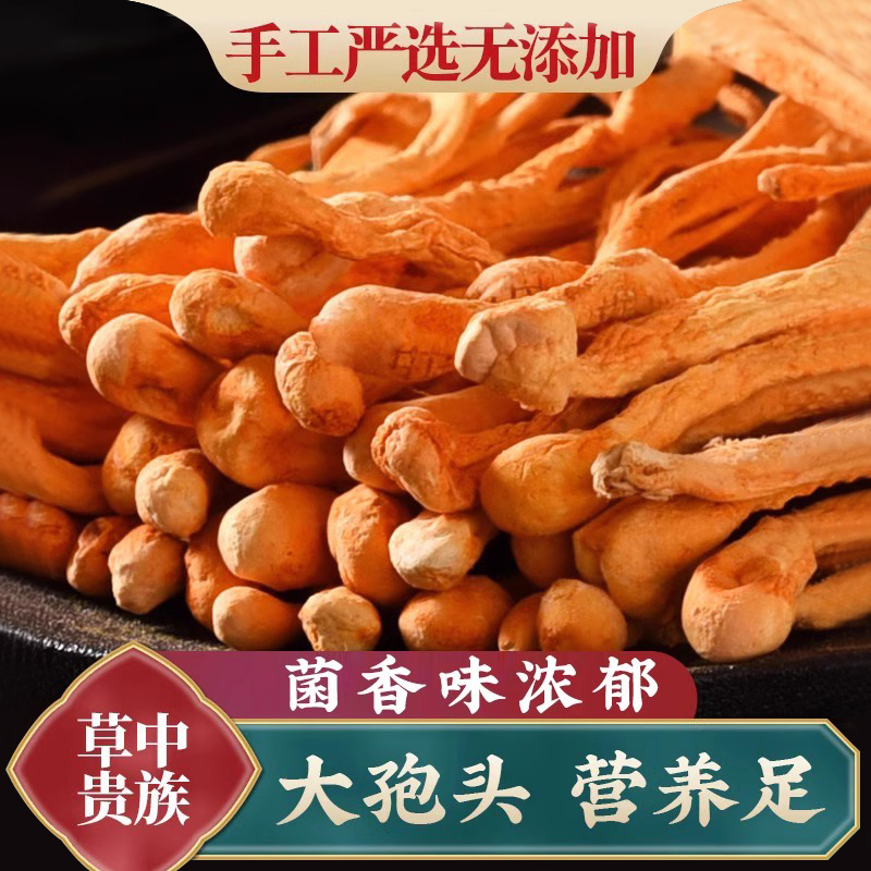 广西大孢子头虫草花400g干货正品蛹虫草广东煲汤材料 旗舰店