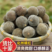 正化州橘红果清凉非陈皮八仙果陈年化橘红果化州桔红块500g 包邮
