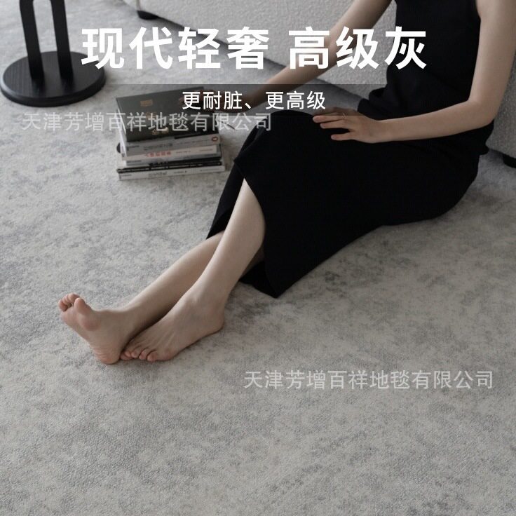 土耳其丙纶客厅地毯灰色沙发茶几毯极简现代轻奢满铺卧室毯