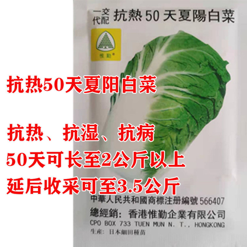 夏阳50白菜抗热白菜种子