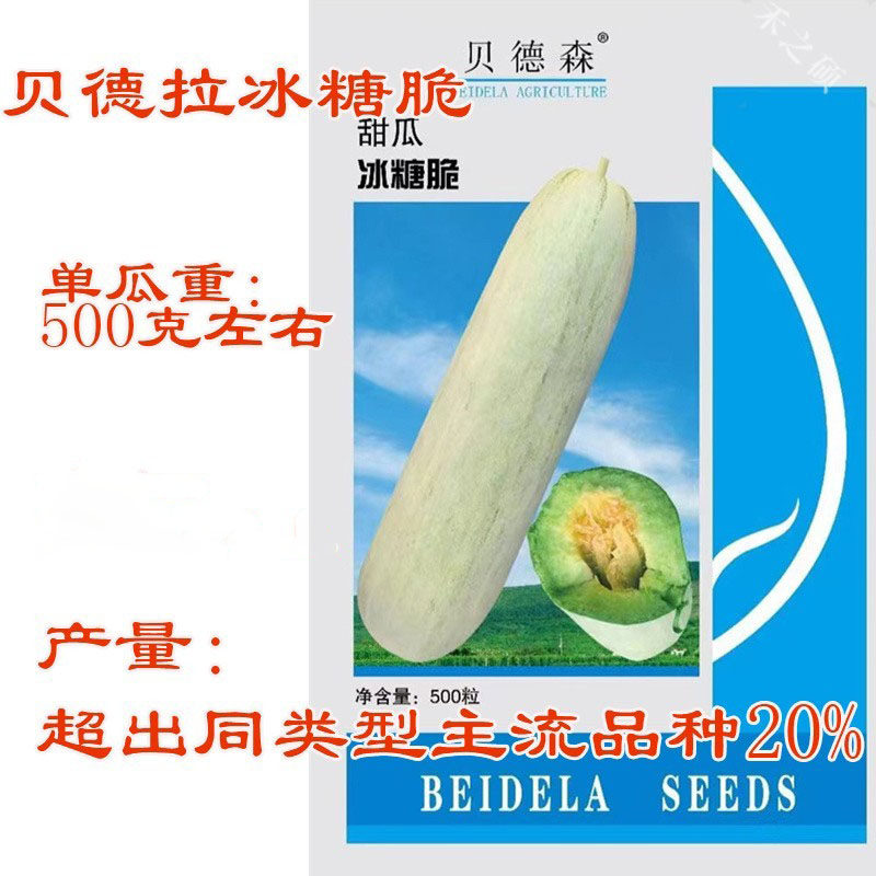 贝德拉冰糖脆种子长棒形甜瓜种籽羊角蜜种香瓜种孑博洋61种子