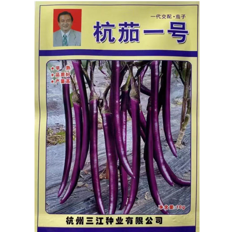 杭茄一号茄子种子品质上佳产量稳