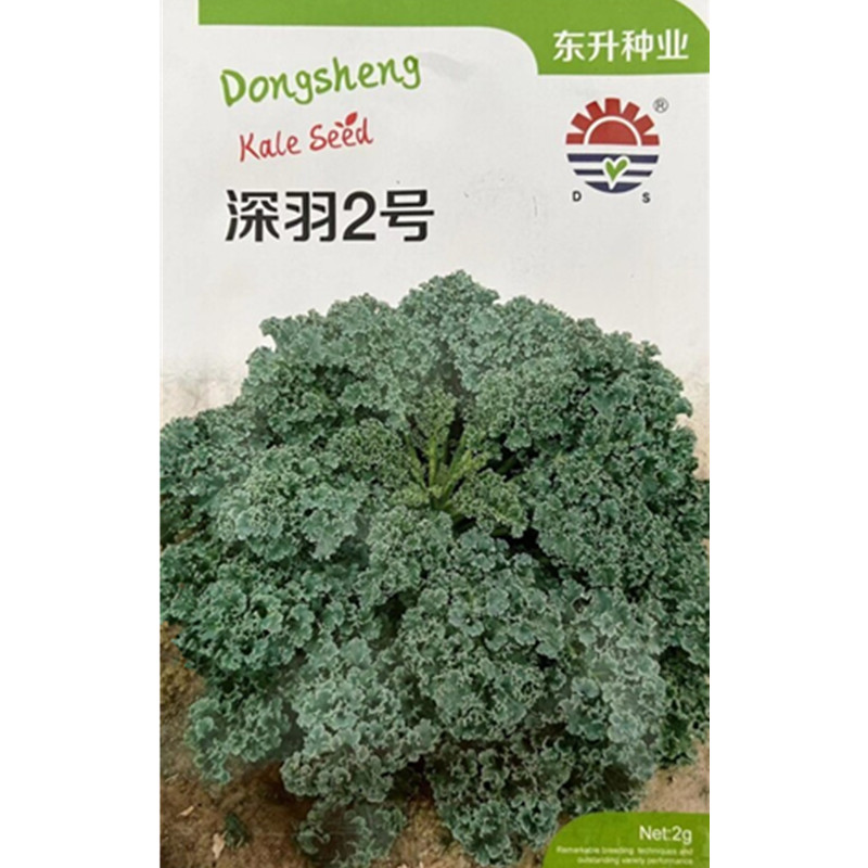 深羽2号甘蓝种子适应强耐热强