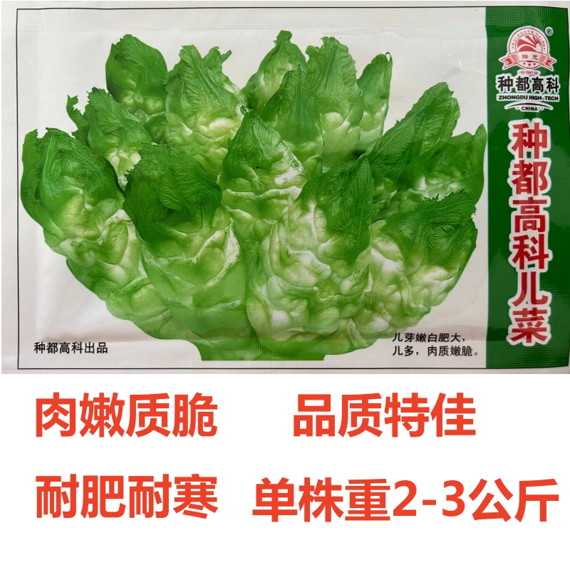 种都高科儿菜芥菜种子耐肥耐寒