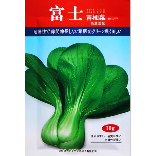 富士青埂菜种子四季可种植