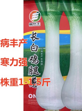 长白鸡腿葱适应性广耐寒力强