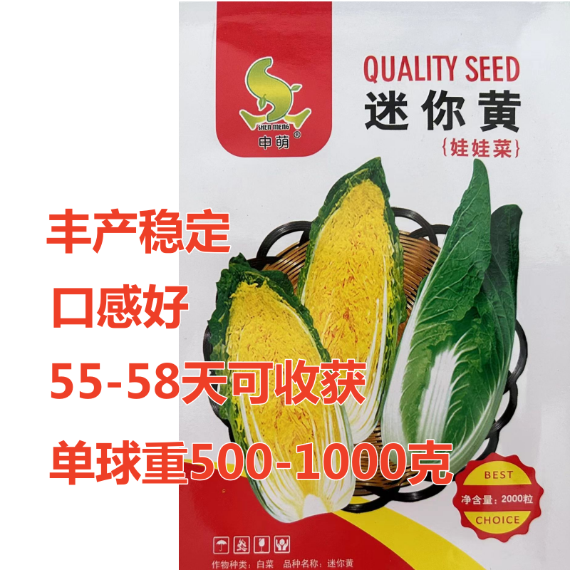 娃娃菜种子迷你黄口味好