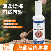 吉合鑫慕源海盐话梅果蓉奶茶店专用酱浓缩果汁柠檬水浓浆果溶糖浆