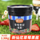 新仙尼草莓果泥奶茶店专用草莓酱烘焙甜品商用果酱台农芒果百香果