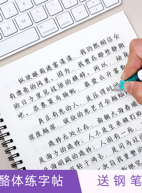 奶酪桓鸾体行楷体练字帖行楷漂亮临摹练习成年女生静心初高中生