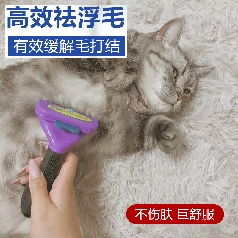 貓梳子毛藍銀漸層英短美短梳子