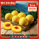顺丰京东 正宗炎陵黄桃 5斤装 ±50克 包邮