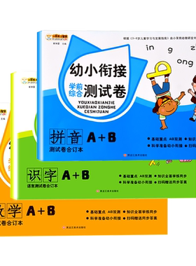 幼小衔接试卷全套语文拼音识字