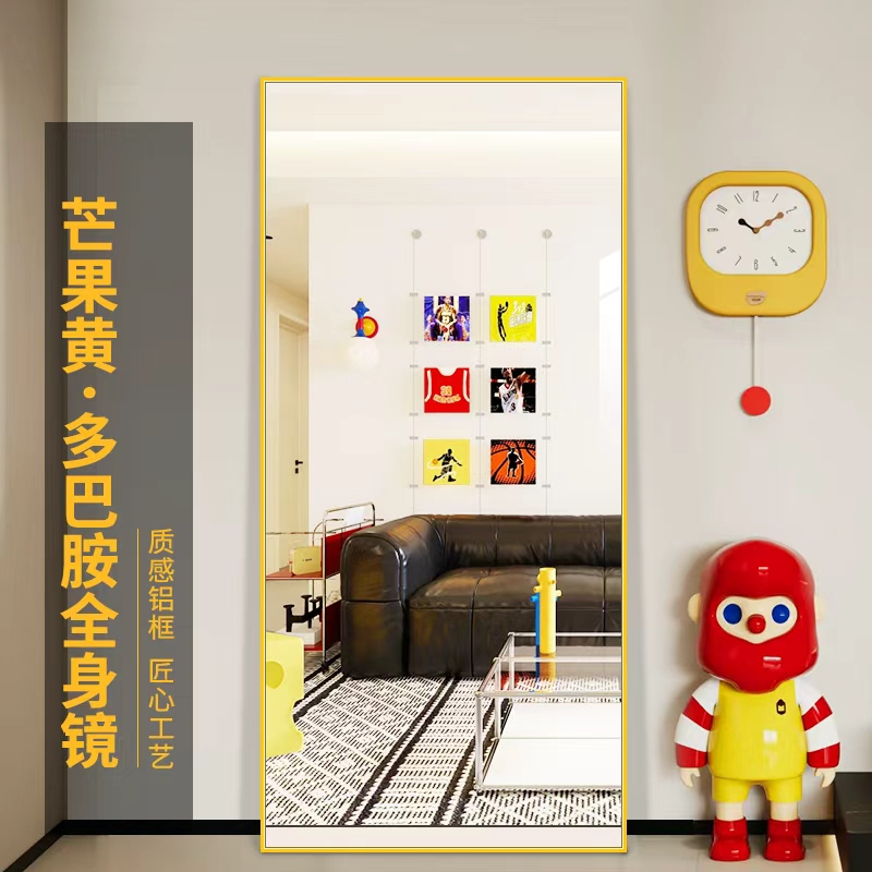 (顺丰送货上门)多巴胺全身穿衣镜