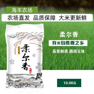 光明旗下 上海海丰农场 柔尔香珍品10kg粳米 农场大米20斤装
