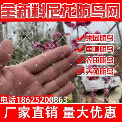 防鸟网白色抗老化尼龙果园果树养殖天网葡萄樱桃枇杷鱼塘水稻枸杞 - 封面