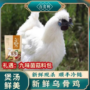 新鲜乌骨鸡 炖汤滋补套餐 顺丰冷链发货 破损包赔