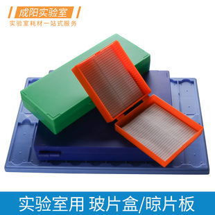 片盒520 片装 100 病理切片盒实验室耗材 塑料玻片盒载玻片加厚晾片板生物装