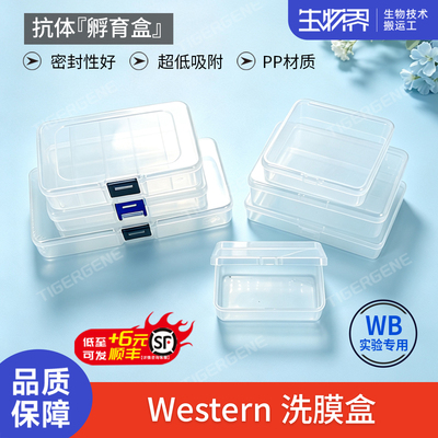 洗膜盒封闭盒印迹检测盒