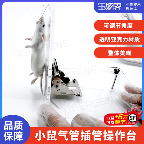 小鼠气管插管操作台手术台固定台