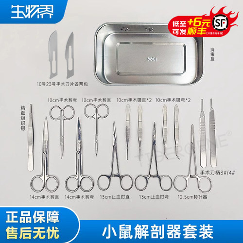 小鼠手术实验器械小动物解剖器械