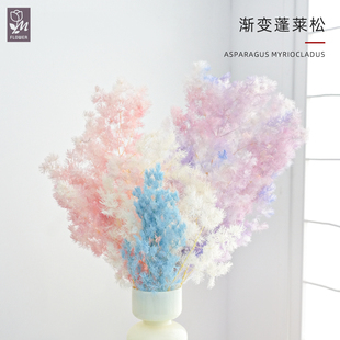 蔓玥  永生国产渐变蓬莱松干花花束玻璃罩浮游花diy手工配材