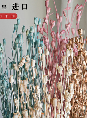 日本大地农园进口风铃果50510永生花diy配材玻璃罩耳环材料