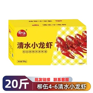 柳伍清水小龙虾3-5钱4-6钱液氮锁鲜水产海鲜餐饮夜市烧烤商用批发