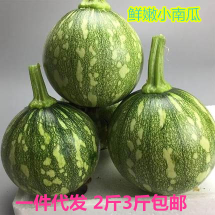 农家新鲜 嫩南瓜 绿皮黄肉青皮花皮西葫芦 小南瓜仔蔬菜甜3斤包邮|msdalam kategori daging perikanan/Buah-buahan segar dan sayur-sayuran/dimasak, sayur-sayuran segar/Vegetable Products, sayur-sayuran segar, lain - dari Buy2taobao.com untuk memberikan perkhidmatan ejen Taobao profesional membeli