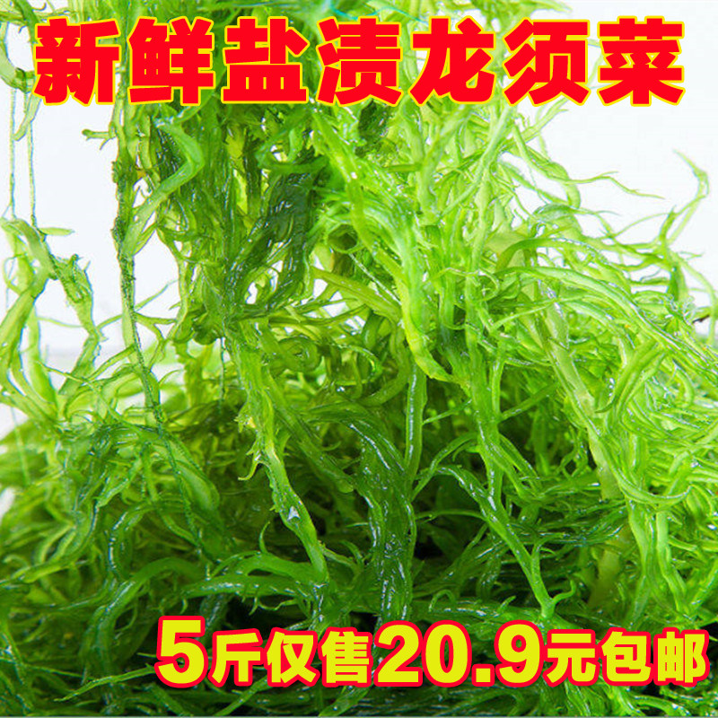 龙须菜盐渍新鲜5斤装海藻菜长寿菜海石花菜海草鹿角菜凉拌海发菜