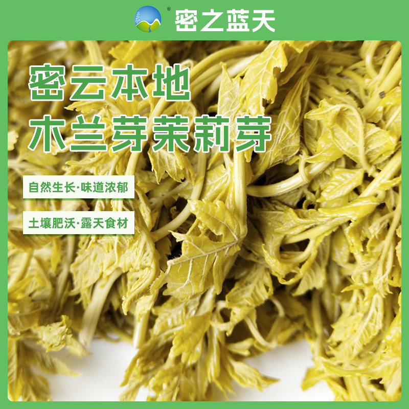 木兰芽新鲜山野菜木力芽茉莉芽新鲜蔬菜农村刺嫩芽脆嫩爽口250g