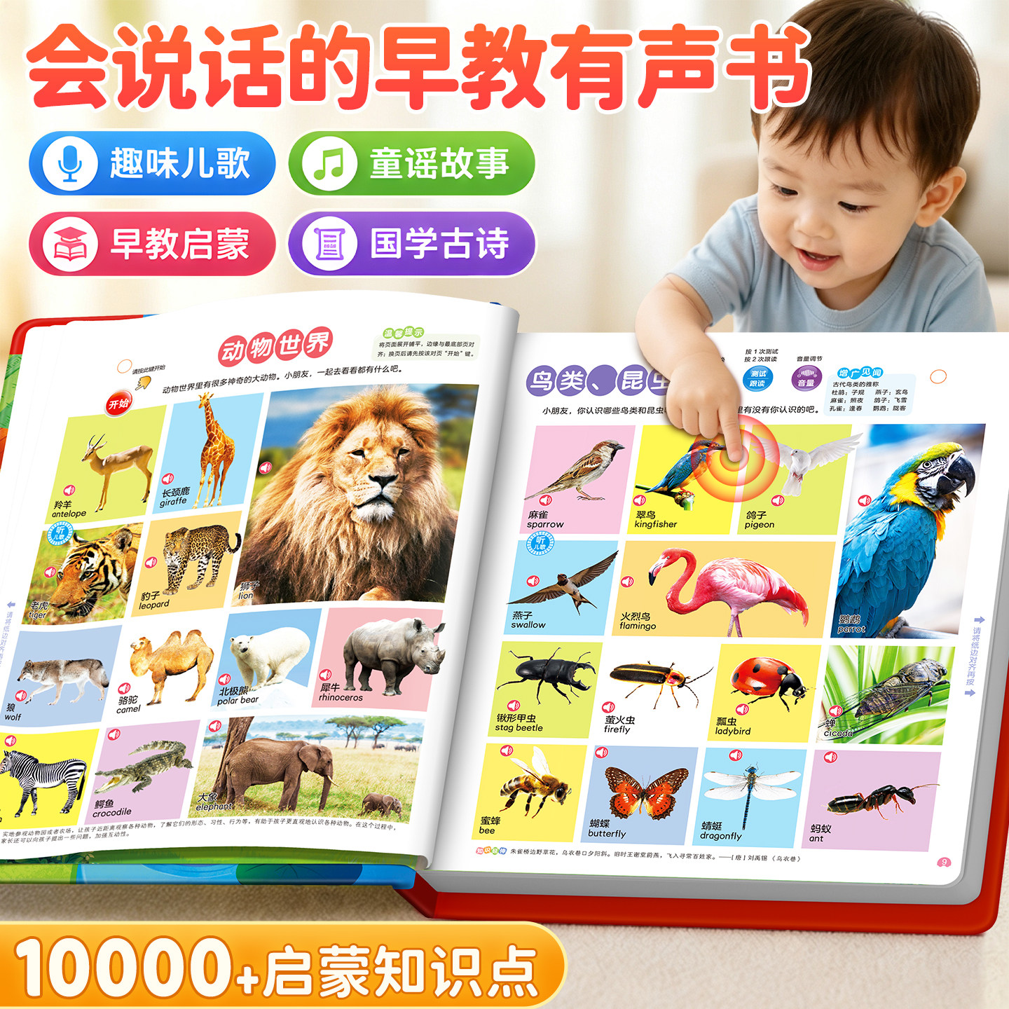 会说话的早教有声点读发声书