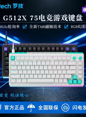 罗技G512X磁轴RGB电竞键盘