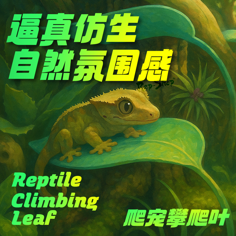爬宠攀爬叶姥爷树蛙躲避树栖睫角R属守宫悬浮窝饲养缸仿真造景叶