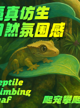 爬宠攀爬叶姥爷树蛙躲避树栖睫角R属守宫悬浮窝饲养缸仿真造景叶