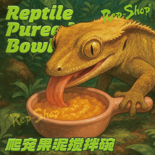 爬宠果泥拌碗睫角食盆树栖爬虫盖勾亚巨人R属守宫果泥喂食勺小碗