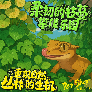 爬宠仿真植物造景装饰睫角守宫蜥蜴蛇饲养箱吸盘款丰容绿植藤蔓