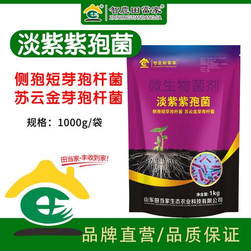 淡紫紫孢菌根结线虫根瘤专用药