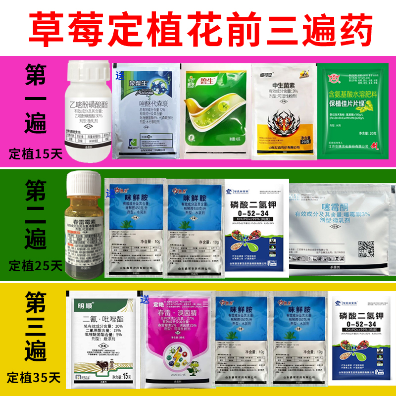 草莓定植开花杀菌剂营养叶面肥