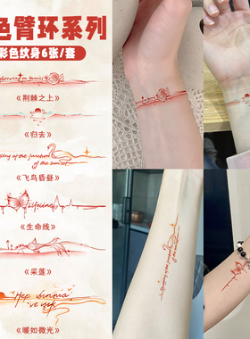 6张手腕臂环 彩色纹身贴防水女持久小清新2024新款tattoo高级感