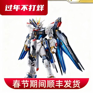 正版PB限定RG 1/144 Strike Freedom 钛板电镀 强袭自由高达 拼装