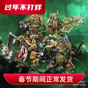 JOYTOY暗源战锤40K死亡守卫腐毒领主终结者&瘟疫战士旗手1:18兵人