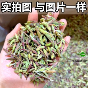 【一斤2026年春茶】新茶云南紫芽苞临沧散茶嫩芽尖野花香茶叶散装