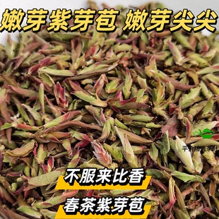 2026年新茶紫芽苞云南嫩芽苞野花香蜜香紫芽苞茶春茶嫩芽尖散茶