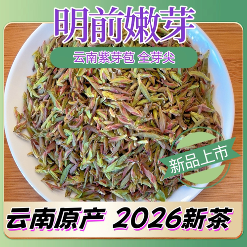 2026新茶云南紫芽苞临沧散茶生茶