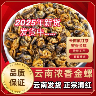 金螺红茶正宗云南滇红金螺红茶2025年新茶蜜香型高山滇红浓香耐泡