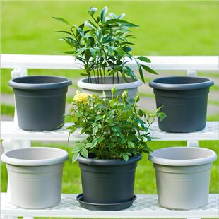 环球霍伦标准树脂花盆塑料加仑盆绿萝阳台多肉植物花盆肉肉小花盆