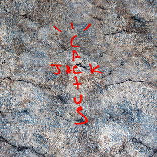 Travis Scott Lil Uzi Vert awge汽车贴纸电动摩托Cactus Jack男