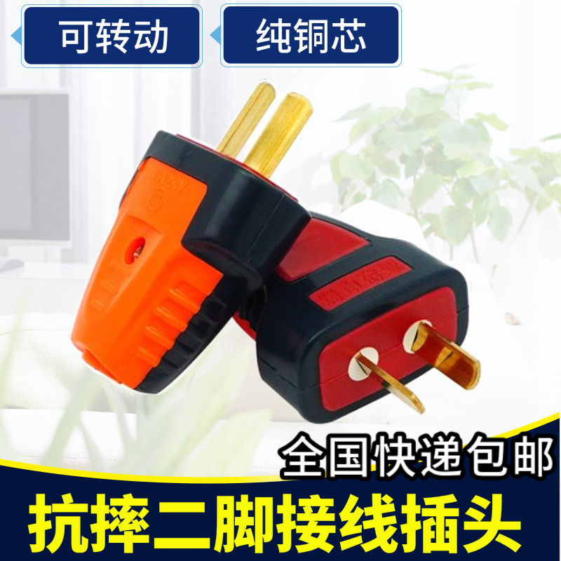 国标家用二脚电源插头二极2芯10A250V防爆抗摔组燃材料纯铜可转动